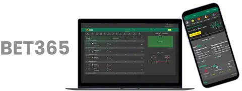 利雅得勝利,官宣馬內加,盟在即,亚博体育,亚博体育官网,亚博体育app,亚博体育下载